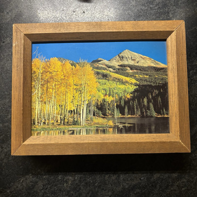 Vintage Wood Framed Gold Aspen Trees Leaves Fall Color, Lake Telluride Colorado