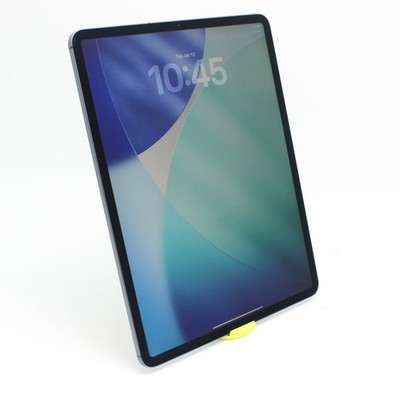 Apple iPad Pro (3rd Generation) A2014 256GB Fair Condition | Gray | UNLOCKED