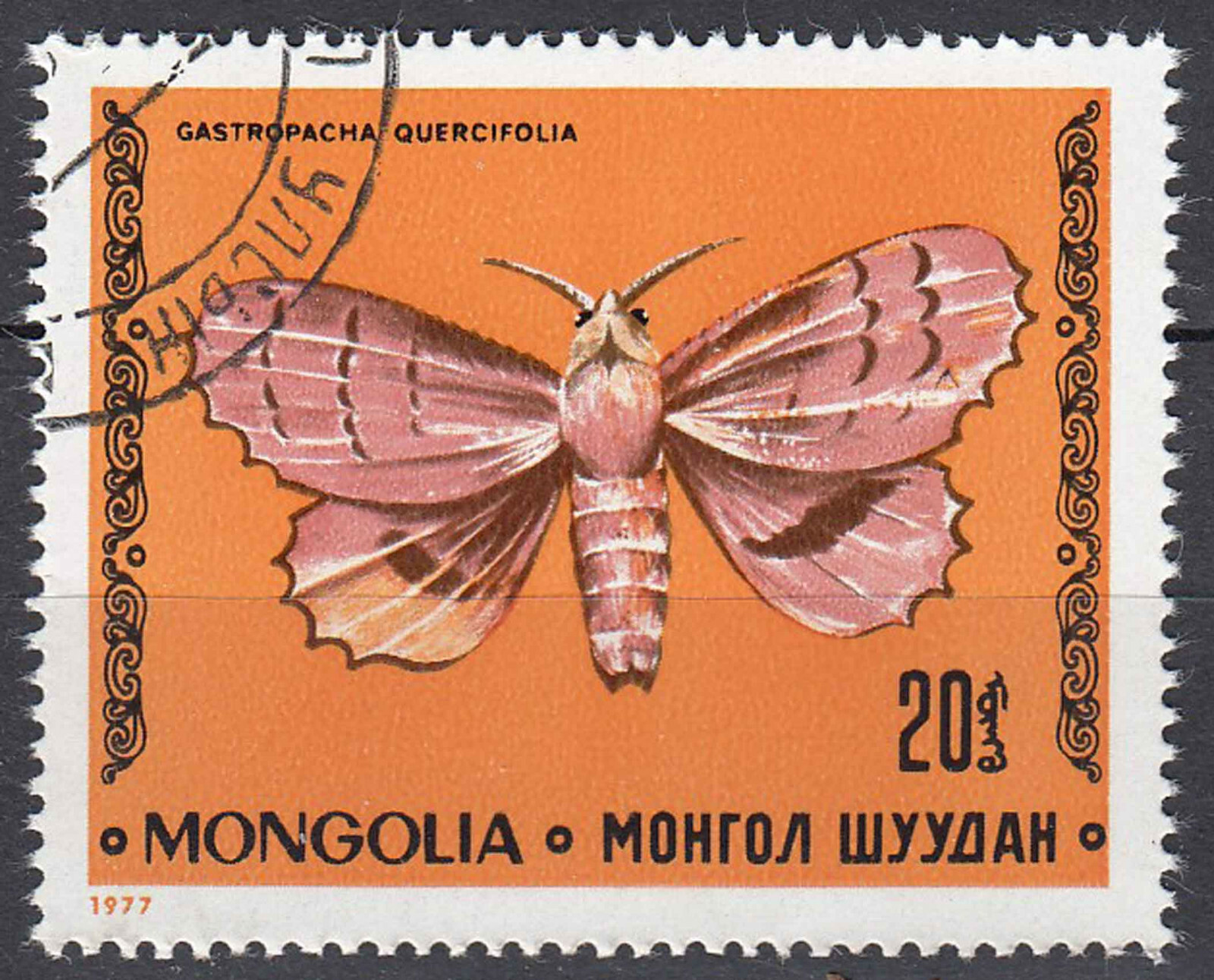 Foto 1 di 1