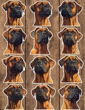 Bullmastiff Dog Die Cut Vinyl Stickers Set Scrapbooking Laptop Waterbottle