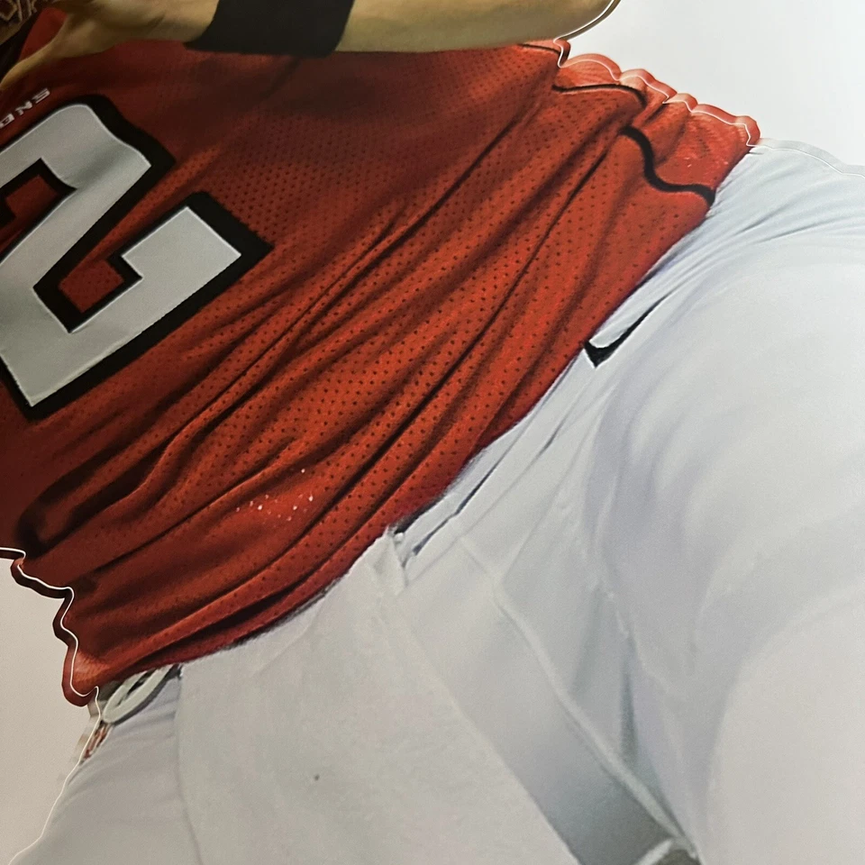 Calcomanía de pared Jumbo 2017 Matt Ryan Fathead Atlanta Falcons 2 pegatinas mariscal de campo Foto 3 de 4