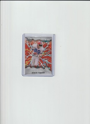 2025 Leaf Eclectic Signature Series Flash Steve Tasker 1/1 Buffalo Bills