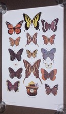 Vintage 1980s US Forest Service Smokey Bear 20x30 Butterfly Poster 81-CFFP-8