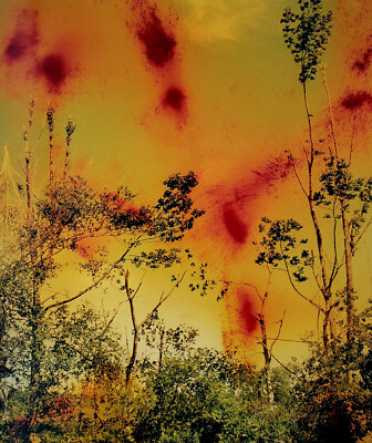 【 View from Above】Wolfgang Tillmans Wolfgang Tillmans: View From Above by Rudolf Schmitz | Goodreads