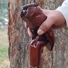 Foto 4 di 8