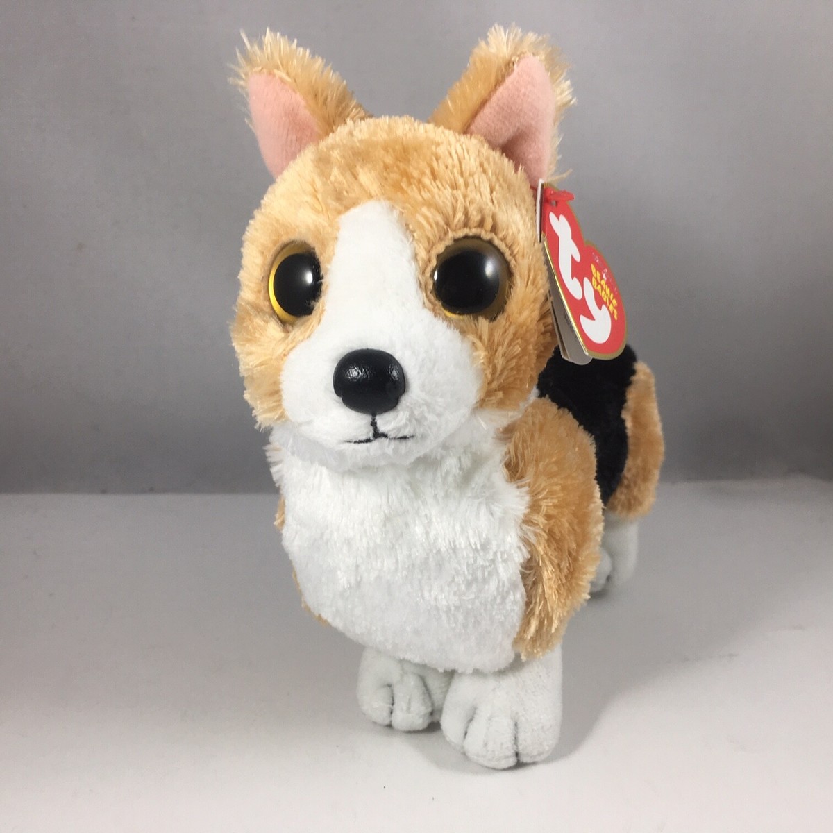 TY Beanie Baby - OTIS the Welsh Corgi Dog (6 inch) NEW MWMTs Plush