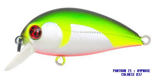 PONTOON 21 POISSON NAGEUR HYPNOSE 38F-MDR (Crankbait) spécial TRUITE - Photo 13/20