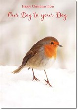 Doodlecards Our Dog To Your Dog Christmas Card Robin on Snow
