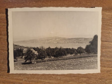 22278.  Fotografia Lago di Zurigo 1956 panorama 10x7