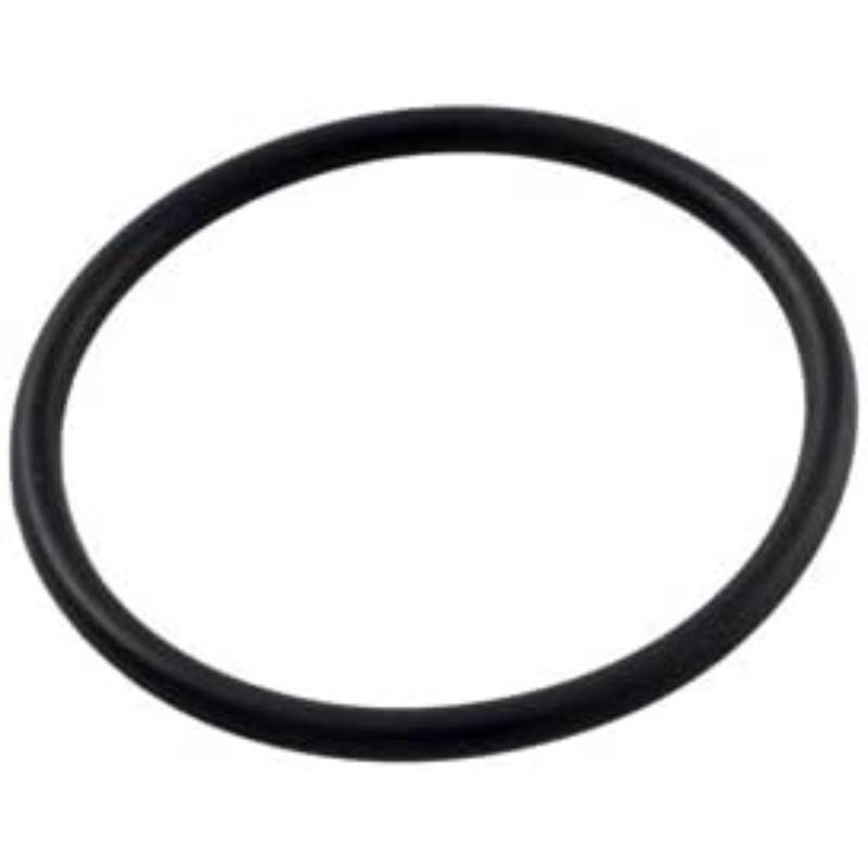 Pentair R172319Z 1/2" O-Ring Chlorinator Bottom Replacement Part