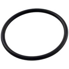 Pentair R172319Z 1/2" O-Ring Chlorinator Bottom Replacement Part
