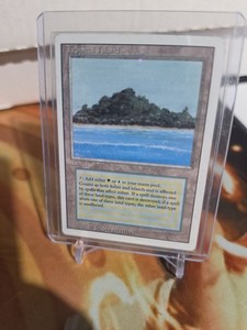 Revised Tropical Island | eBay
