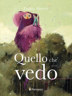 Daniela Pareschi Quello che non vedo (Hardback)