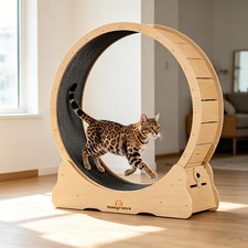 Cat Exercise Wheel for Indoor Cats, 46" Large XL Cat Running Treadmill Wheel wit