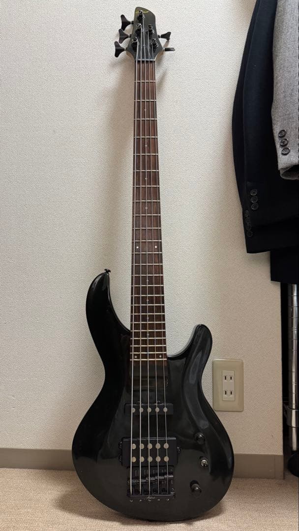 【5弦】Aria Pro Ⅱ IGB-STDIII/5 5 string] Aria Pro II IGB-STDIII/5 | eBay