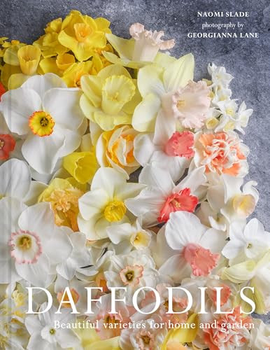 Daffodils : Beautiful Varieties For Home And Garden Naomi Slade - Image 7