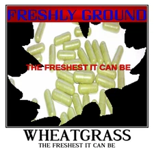 WHEATGRASS Wheat Grass Green Fresh Ground Potency 100 Veg Capsules
