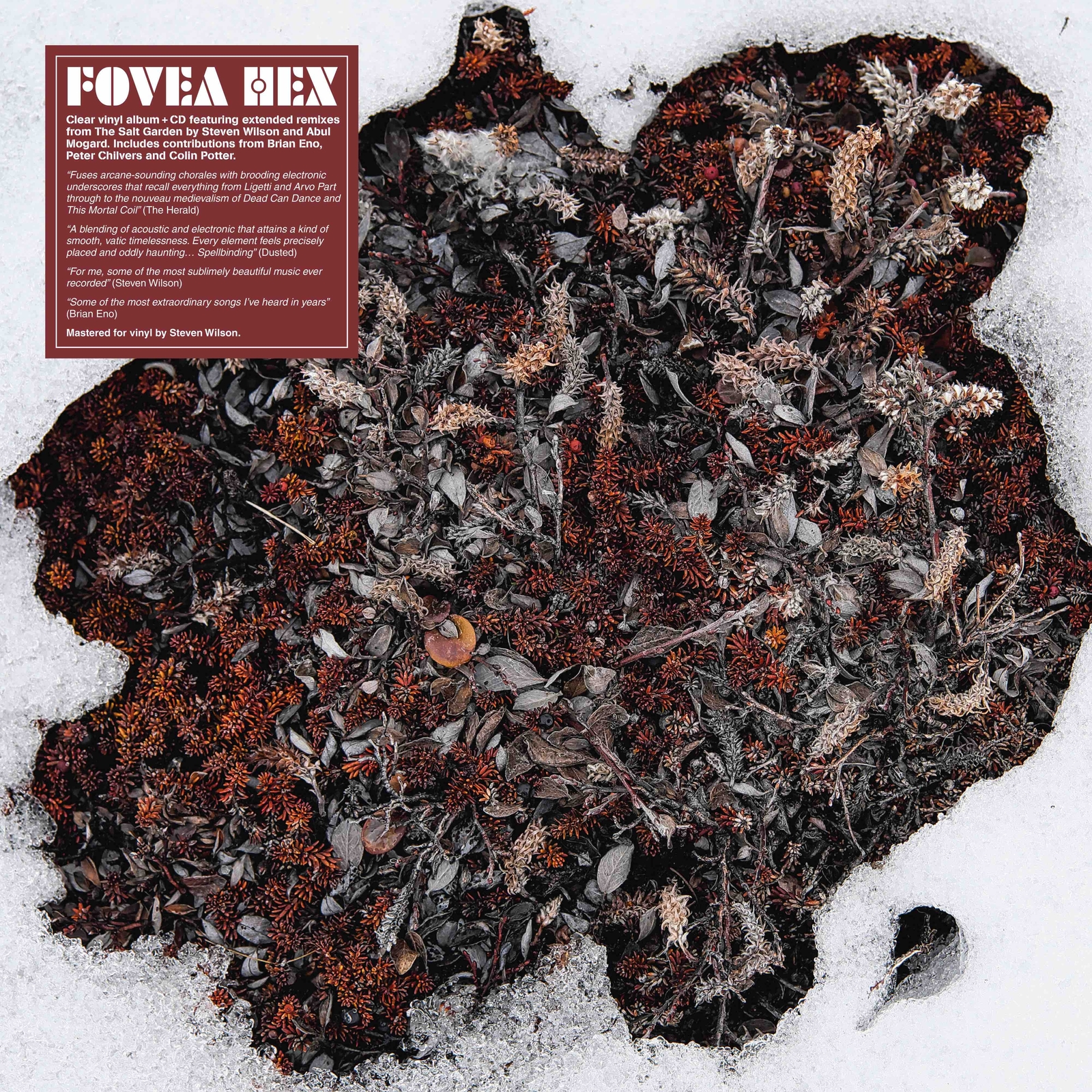 Fovea Hex The Salt Garden (Landscaped) (Vinyl LP) 12" Album with CD