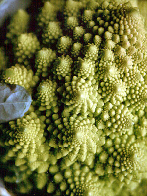 Romanesco Kohl Samen – 150 Stück, Samenfest, Hohe Keimfähigkeit, Für Deinen Garten
