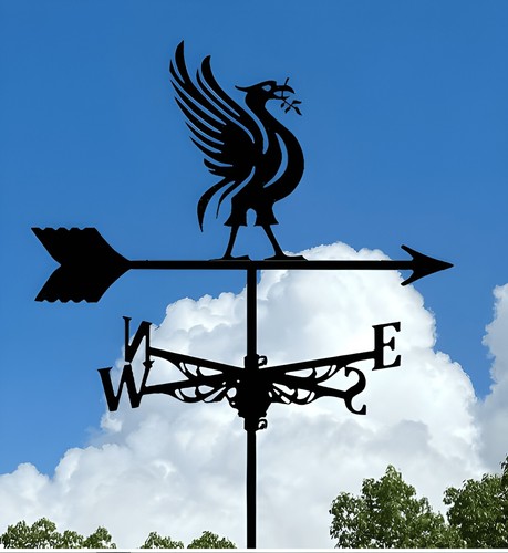 Black Metal Weather Vane Wind Indicator - Garden Shed Ornament - Picture 7 of 48