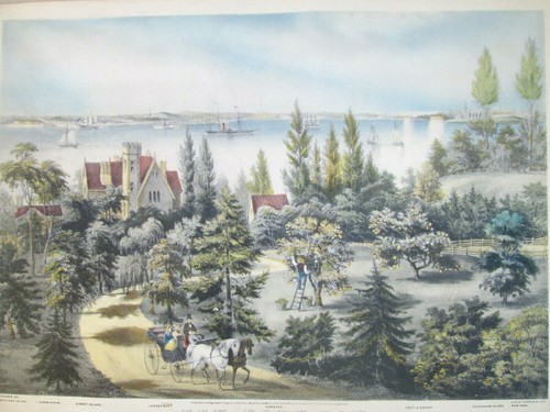 CURRIER AND IVES "BAHÍA DE NUEVA YORK" LITOGRAFÍA ENMARCADA F.F PALMER ARTIST 1860 - Imagen 10 de 11