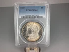 1885 P $1 Morgan Silver Dollar - PCGS MS64 - Beautiful Toner Toned