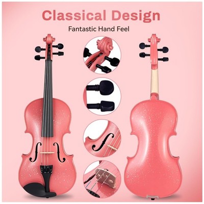 Elegant Spruce Violin 4/4 for Beginners - Complete Set