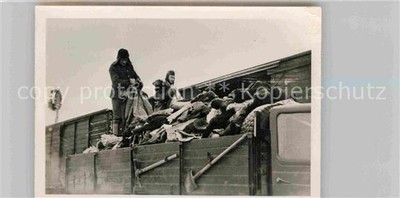 Sablino Leningrad St-Petersbourg ST-PETERSBURG RU Wollspende fuer GREIF-Division