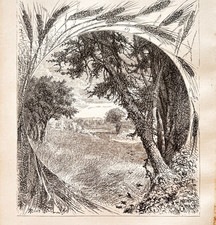 1871 William Cullen Bryant Wood Engraving Song Of The Sower Victorian F17B