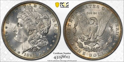 Dólar de plata Morgan 1888 - PCGS como nuevo 65 - tonificación de borde escudo de oro - Imagen 1 de 4