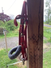 Cob Large pony Halter bridle with hollow mouth snaffle