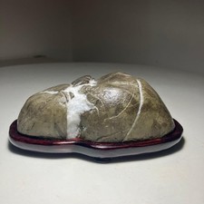 Suiseki Stone Viewing paesaggio naturale cascata fiume giapponese Daiza 5,5 pollici