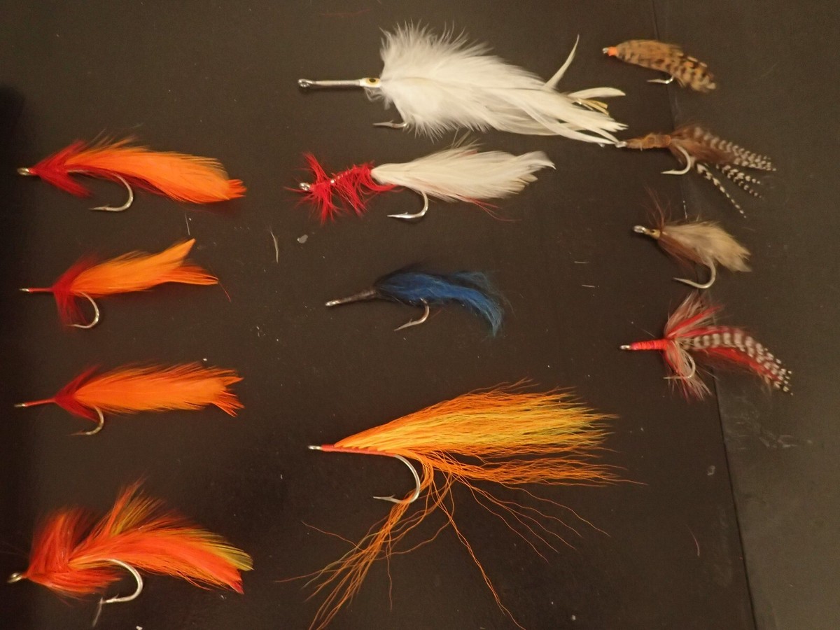 Pêche à la mouche WWS Tibor BILLY PATE estate x12 eau salée au large