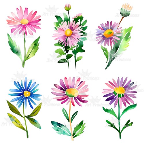 Aster Flower aquarelle abstraite téléchargement numérique clipart lot PNG pour artisanat - Photo 7 sur 10