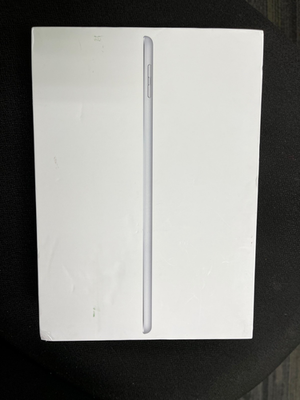 Apple iPad 6th Gen. 128GB, Wi-Fi, 9.7