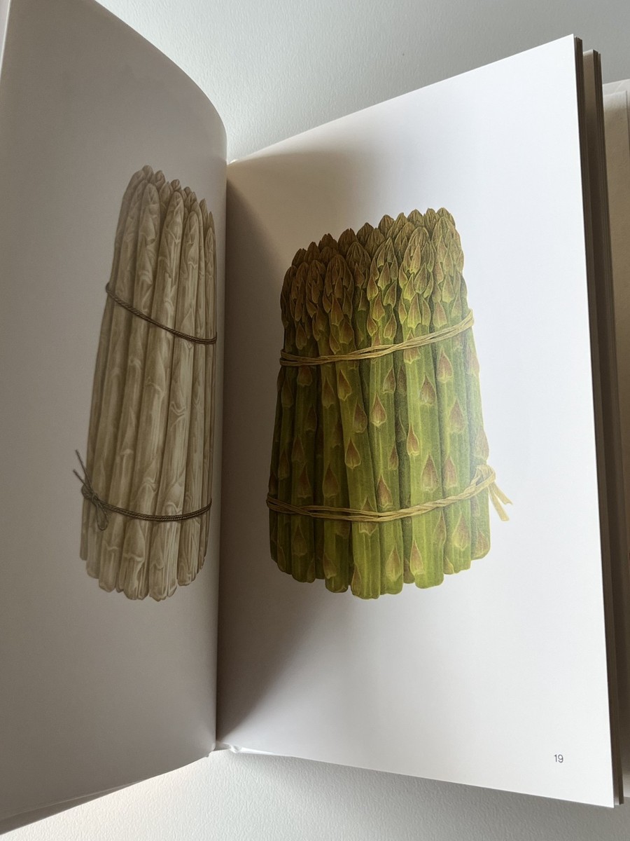 NEW TADASHI OHASHI ggg Books 29 World graphic design series 29