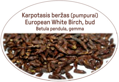 Europäische Weißbirke, Knospen/Gesunder Kräutertee/sehr gesund für Ihren Körper/Tee Nr.1