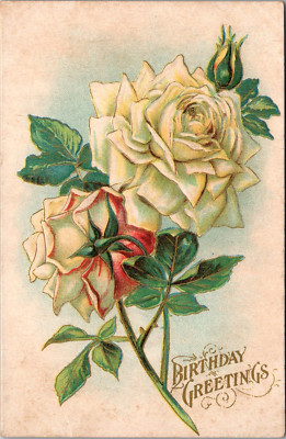 Greetings Best Birthday Wishes Postcard Vintage Card View Embossed Roses