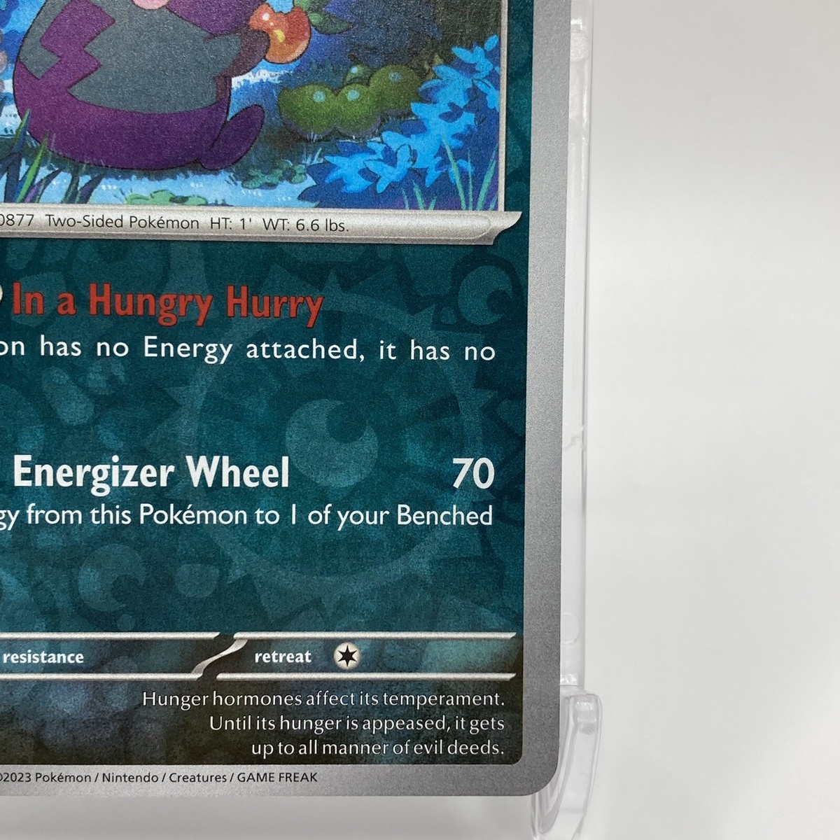 Morpeko Reverse Holo Rare 121/182 Pokémon TCG Paradox Rift NM/M | eBay