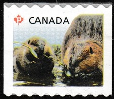 Canada 2711 Baby Wildlife Canadian Beaver P coil single MNH 2014