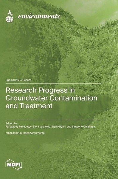 Research Progress In Groundwater Contamination And Treatment | Buch | Englisch-image