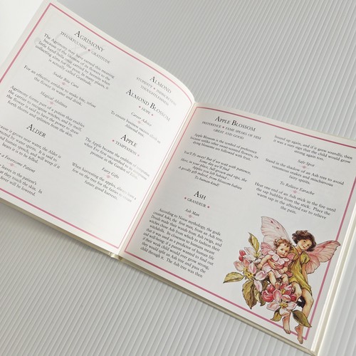 Flower Fairies The Meaning Of Flowers Cicely Mary Barker Hardcover Book 1996 - Picture 9 of 12