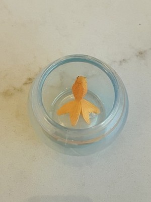 Our Generation 18 Inch Doll goldfish￼Fishbowl