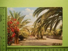 MARCHE -S.BENEDETTO DEL TRONTO (AP)-VIALE TRIESTE-14298