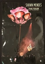 Shawn Mendes The Tour 6-24-19 Van Andel Arena 36x24” Concert Poster