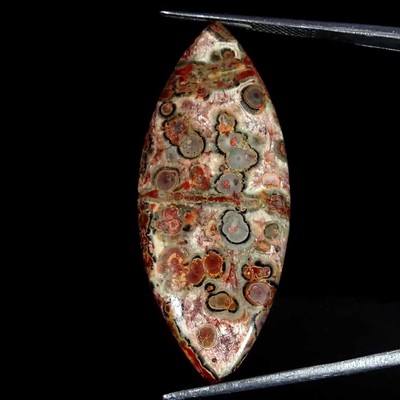 17.40Cts Natural Leopard Skin Jasper Marquise Cabochon Loose Gemstone 18x44x4mm
