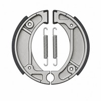 TRW Bremsbacken (FüR: Honda CRF 125 F (17/14 Zoll) JE03 14-18 Hinten )