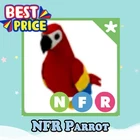 NFR Parrot - Adopt right now