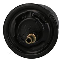 Ashika Kraftstofffilter 30-05-520 FüR Mitsubishi