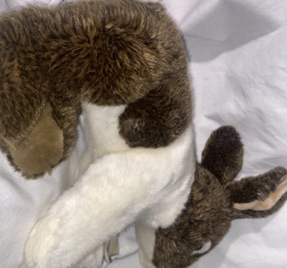 Webkinz Signature Dutch Bunny Rabbit NWT & unused code, Fast Ship, Smoke-Free - Image 3 of 4